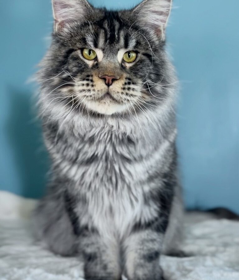 E8B05F5F-4C33-495E-AF1F-718B9570D075